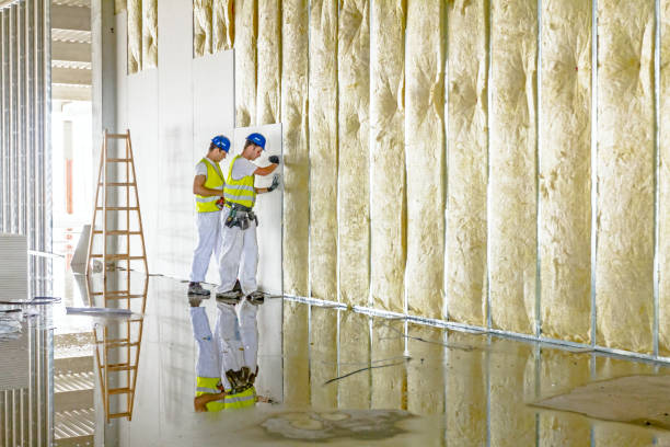 Best Insulation Removal  in Dorr, MI